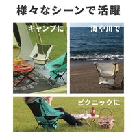 ラプラス MC-001-MWコンパクトチェア ミルキーホワイト　1個（直送品）