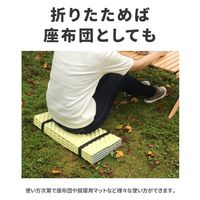 ラプラス MM-003-RGフォールディングマット RG　1枚（直送品）