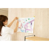 サクラクレパス 作品思い出ボックス小ホワイト TFX-S#50 1セット(1冊×2)