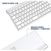 キーボード ワイヤレス ウルトラスリムフルサイズ 2.4Gワイヤレスキーボード GKJ22S iClever