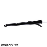 有線キーボード USB Type-C接続/薄型/フルキー/スリムキーボード SKB-SL31CBK 1個 サンワサプライ（わけあり品）