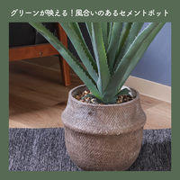 不二貿易 フェイクグリーン アロエ M セメントポット 41136 1個
