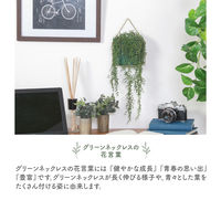 不二貿易 フェイクグリーン グリーンネックレス ハンギング 41127 1個