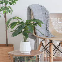 不二貿易 フェイクグリーン パキラ セラミックポット 41128 1個