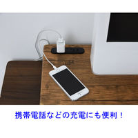 YAMAZEN  コンセント付 デスク上スタンド 幅800×奥行250×高さ85mm  ブラウン/ブラック　DTSE-8025(ABR/SBK)