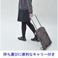 【台車】 YAMAZEN 折りたたみ台車 CARRYお手軽 OTG-E50DB*R 1台