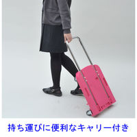 【台車】 YAMAZEN 折りたたみ台車 CARRYお手軽 OTG-E50RP*R 1台