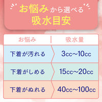 吸水ナプキン 安心の少量用 40cc 22枚 羽なし 23cm ポイズ さらさら 吸水ライナー 無香料 1セット（22枚×3）尿漏れ