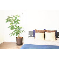 【園芸用品】アップルウェアークラフトポット 40型 ダークブラウン 26L 400mmΦ×390mm 鉢 ガーデニング