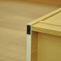 エイ・アイ・エス 2ドア収納ボックス ナチュラル 幅395×奥行380×高さ1667mm GTBX-002 NA 1台（直送品）