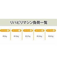 【軒先渡し】高田ベッド レッグプレス2 TB-1215 1台 24-2853-0001（直送品）