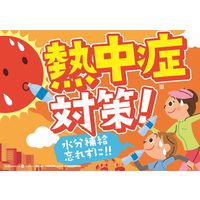 サントリー GREEN DA・KA・RA（グリーン ダカラ）塩 ライチ＆ヨーグルト（冷凍兼用）490ml 1セット（48本）