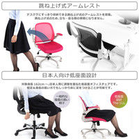 【車上渡し】Bauhutte （バウヒュッテ） オフィスチェア The・ジム CP-22-PK 1脚（直送品）