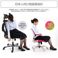 【車上渡し】Bauhutte （バウヒュッテ） オフィスチェア The・ジム CP-23-BU 1脚（直送品）