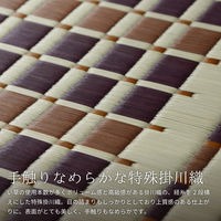 萩原 国産い草センターラグ 築彩（ちくさい） ブラウン 約261×352cm 1枚（直送品）