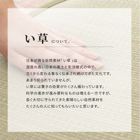 萩原 い草センターラグ（裏貼り） WATSUMUGI BK ブラック 約176×176cm 1枚（直送品）