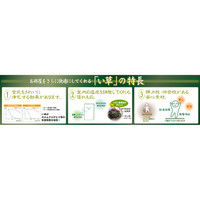 萩原 い草コンパクトラグ（裏貼り） キハチ ブルー 約180×240cm 1枚（直送品）