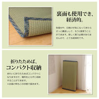 イケヒコ 純国産 い草 上敷き カーペット 糸引織 『柿田川』 江戸間4.5畳 約2610×2610mm 1枚（直送品）