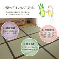 イケヒコ・コーポレーション あぐら 半畳 NT 約82×82cm 1110230000000 1組(2枚)