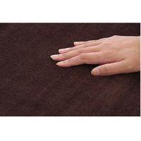 イケヒコ・コーポレーション ピオニーHCC IT BR 約200×250cm 1380000000000 1枚