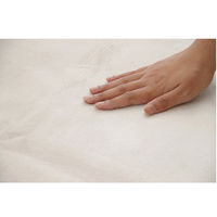 イケヒコ・コーポレーション ピオニーHCC IT IV 約200×300cm 1380000001364 1枚