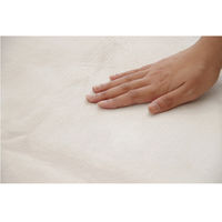 イケヒコ ラグ カーペット 円形 洗える 抗菌 防臭 無地 『ピオニー』 アイボリー 約1850mm丸 1枚（直送品）