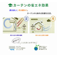 ユニベール エフェクト アイボリー 厚地カーテン 幅100×高さ200cm 1セット（2枚入り） 1セット（厚地カーテン2枚）（直送品）