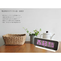 エンペックス気象計 電波時計付デジタル温湿度計 TD-8262 1個