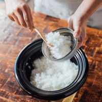 シロカ 長谷園×siroca かまどさん電気 SR-E111（K） 1台