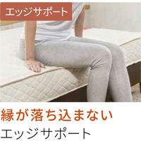 フランスベッド（FranceBed） マットレス シングル ポケットコイル DE-P100 033041100 1枚