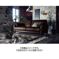 【車上渡し】RELAX FORM コロンバス オットマン カカオ 1脚（直送品）