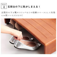 ファミリー・ライフ 木製手すり付き玄関踏み台100cm幅 03517 1台