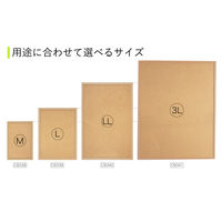 アスカ コルクボード 600×900mm LLサイズ CB340 2枚