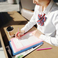 ビバリー 書けるクリアファイル フリー ピンク CF-035A 1セット（10枚セット）（直送品）