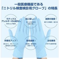 医療用 ニトリル手袋 1000枚(10箱セット) LLサイズ パウダーフリー RAMEDICO 一般医療機器クラス1 食品衛生法適合品（直送品）