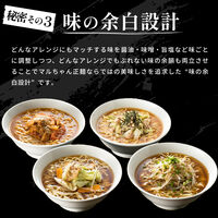 マルちゃん正麺　醤油味　1袋（5個）東洋水産 袋麺 ラーメン