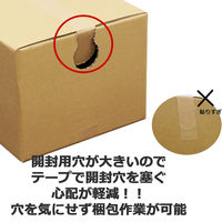 ロジマート ダンボール 100サイズ 420*300*240 20枚 開封穴有り 51z262an-20 1セット（直送品）