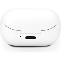 PGA Bluetooth(R) 5.0搭載 片耳ワイヤレスイヤホン 充電ケース付 ホワイト PG-BTE13BC2WH 1個