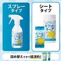 【アウトレット】【Goエシカル】訳あり ウェットティッシュ 60枚 除菌 フッ素コート アルコール メッシュ HA-WCKC60 エレコム 1個