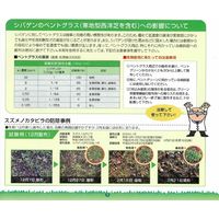 石原バイオサイエンス 石原バイオ シバゲンDF 100g 2056903 1袋（直送品）