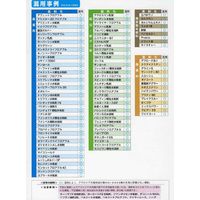 ニッソーグリーン アグロケア水和 100g 2057128 1袋（直送品）