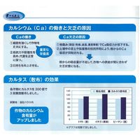 生科研 カルタス 10kg 2057141 1箱（直送品）