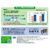 生科研 メリット青 6kg 2057155 1個（直送品）