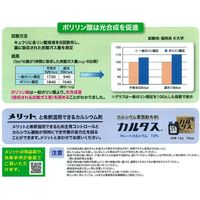 生科研 メリット赤 20kg 2057157 1箱（直送品）