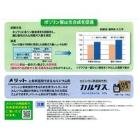 生科研 新チャンス液 20kg 2057161 1箱（直送品）