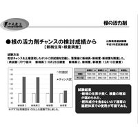 生科研 粒状チャンスS 15kg 2057162 1袋（直送品）