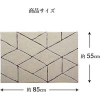 イケヒコ グラース 玄関マット 550×850mm ネイビー 1310970195001 1枚（直送品）