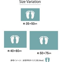 イケヒコ ふわっとストライプ バスマット 500×750mm ベージュ 1300840020501 1枚（直送品）