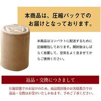 イケヒコ グランド ラグ 1850×3000mm グレー 1290970135801 1枚（直送品）