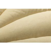 イケヒコ 掛け布団 滅ダニ ダブルロング 1900×2100mm - 1202890022402 1枚（直送品）